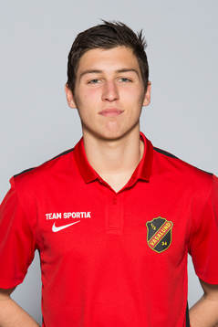 Luka Dobrijevic, Vasalund
