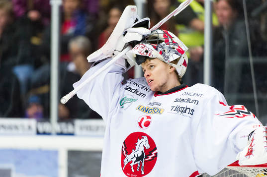 Vita Hästens målvakt Henrik Lundberg deppar