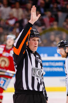 Domare Morgan Johansson