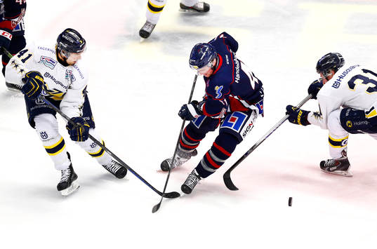 s Chris Campoli och Mattias Tedenby