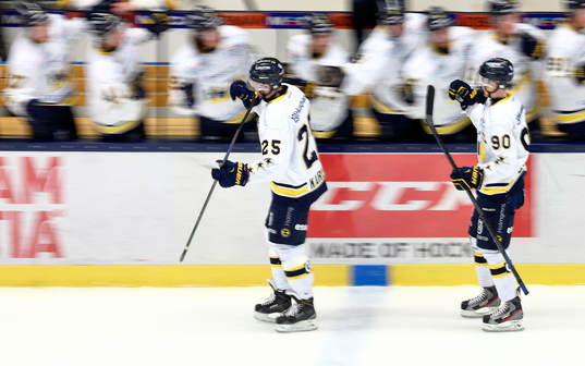 s Mattias Karlsson och Ted Brithén jublar