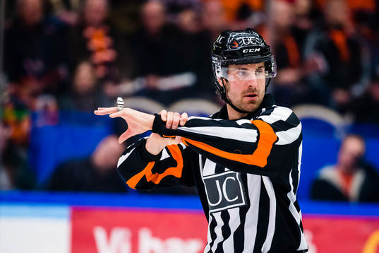 Domare Mikael Sjöqvist