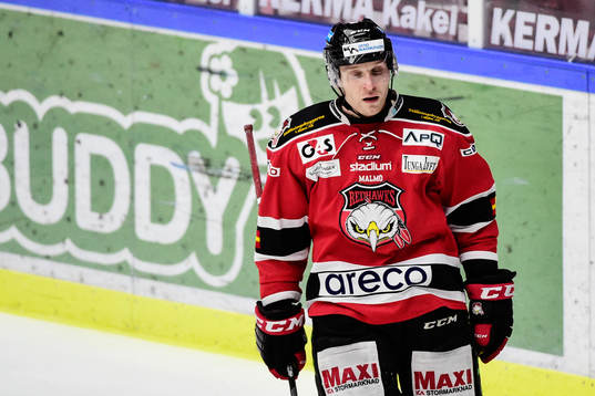 Malmö Redhawks Frederik Storm