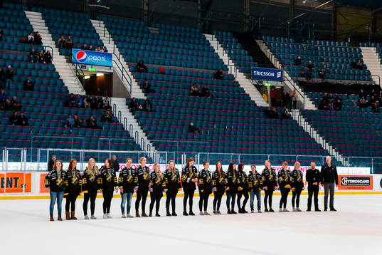 s damhockeylag hyllas  för sitt SM-silver