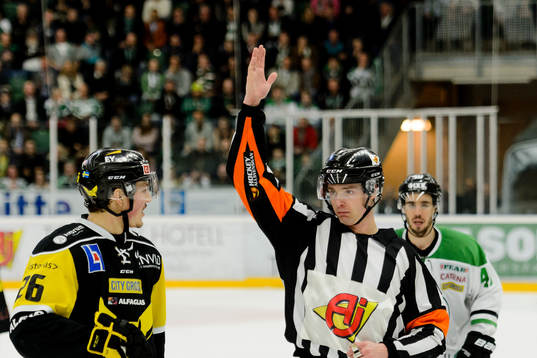 Domare Mikael Andersson