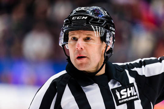 Domare Wolmer Edqvist