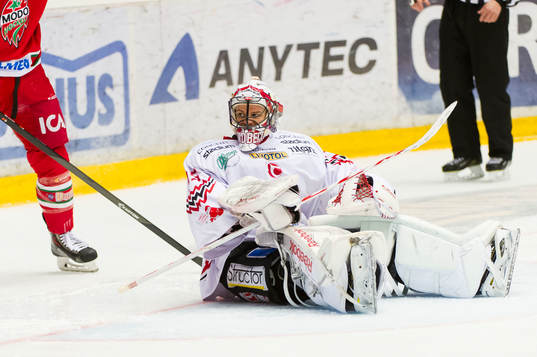Vita Hästens målvakt Henrik Lundberg