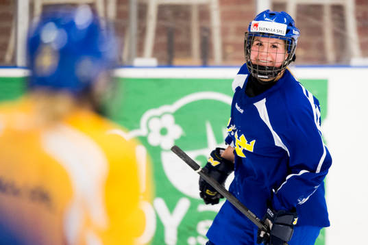 Sveriges Annie Svedin