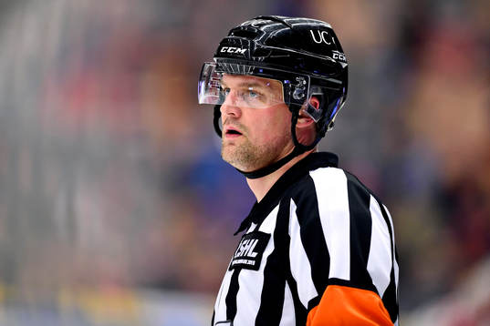 Domare Mikael Nord