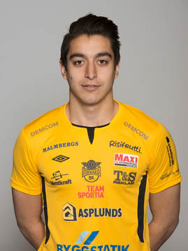 Martin Alp