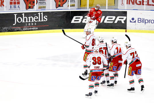 Vita Hästens målvakt Henrik Lundberg deppar