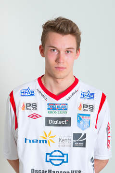 Max Odin Eggertsson
