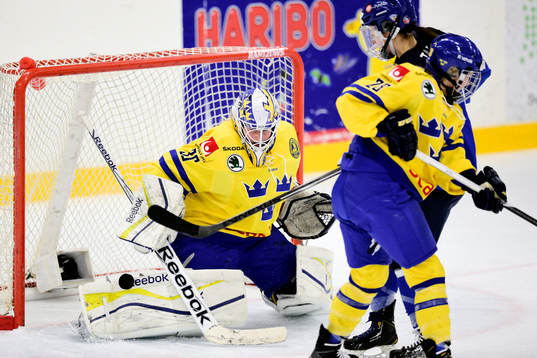 Sveriges målvakt Kim Martin Hasson