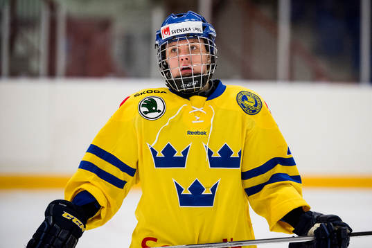 Sveriges Michelle Löwenhielm
