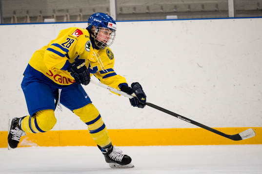 Sveriges Michelle Löwenhielm