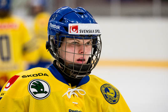 Sveriges Anna Borgqvist