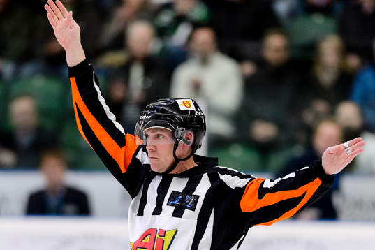 Domare Morgan Johansson