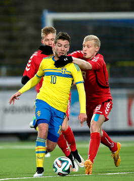 Sveriges Erdal Rakip och Litauens Skirmantas Rakauskas