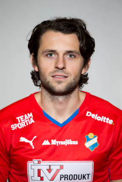 Mehmed Hafizovic