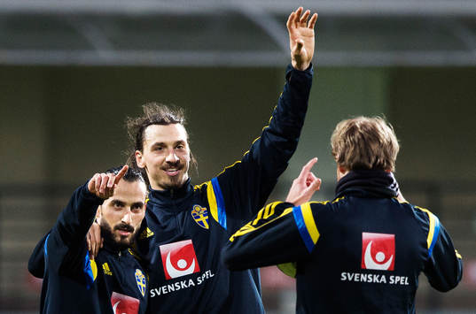 Bläddra bland fler bilder av Fotboll, inför EM-kval, träning Sverige