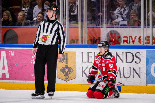 Malmö Redhawks Nicklas Jadeland deppar