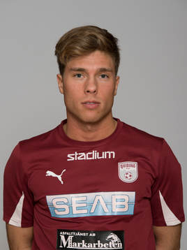 Nikola Ladan