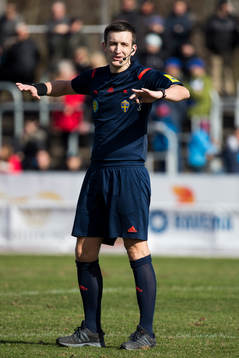 Domare Nermin Cisic