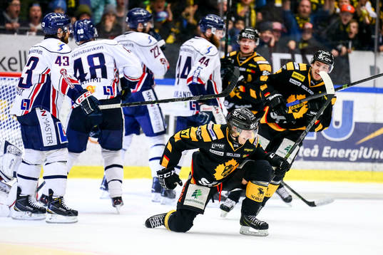 Skellefteås John Norman jublar