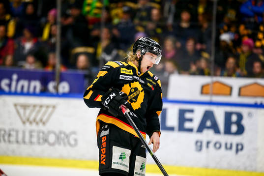 Skellefteås Anton Lindholm
