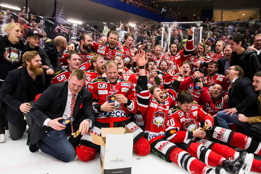 Malmö spelare jublar