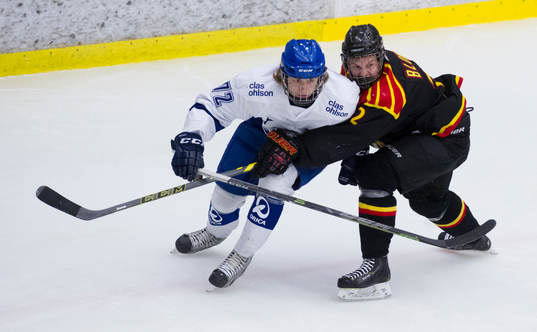 Leksands Tom Hedberg och Brynäs Fredrik Blom
