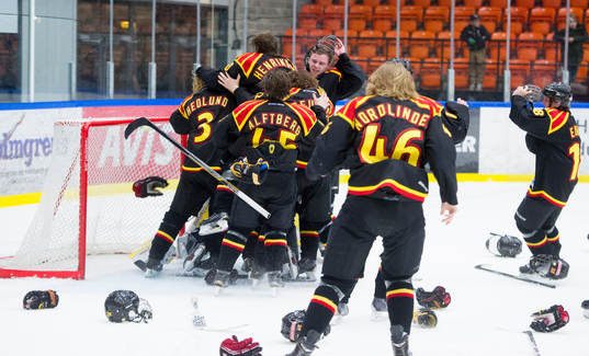 Brynäs spelare jublar över sitt SM duld