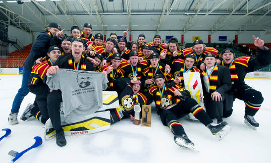 Brynäs lagbild