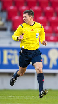 Domare Bojan Pandzic