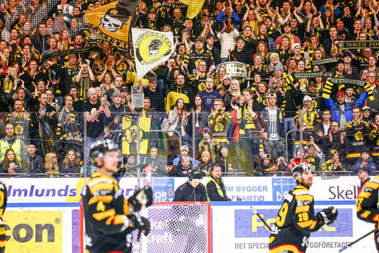 Skellefteås lag jublar med publiken