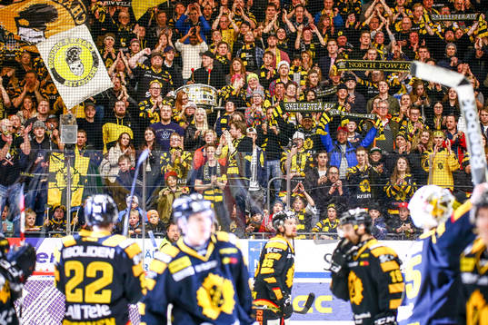 Skellefteås lag jublar med publiken