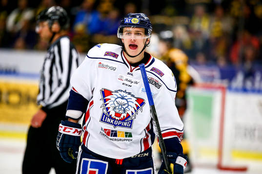 Linköpings Jakub Vrana deppar