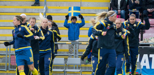 Svensk supporter håller upp flagga