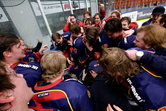 Djurgårdens spelare jublar