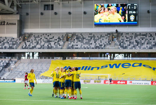 De svenska spelarna jublar