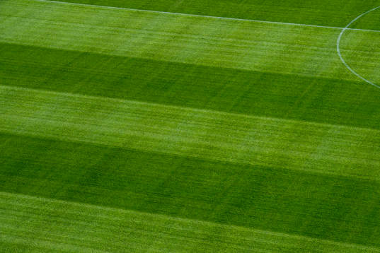 Gräset på Swedbank Stadion