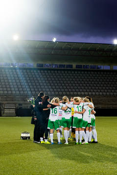 Hammarbys spelare samlade