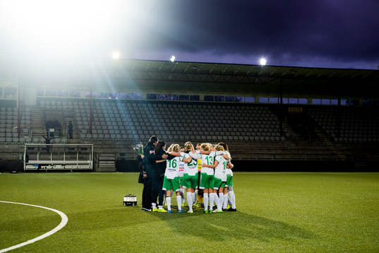 Hammarbys spelare samlade