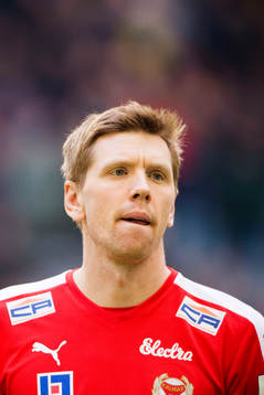 Kalmars David Elm