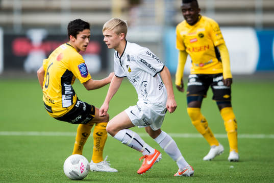Häckens Albin Falkenby