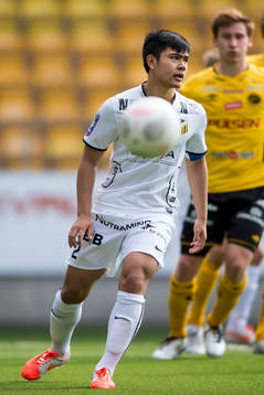 Häckens Mark Fezarit