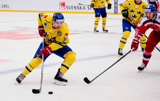 Sveriges Martin Johansson