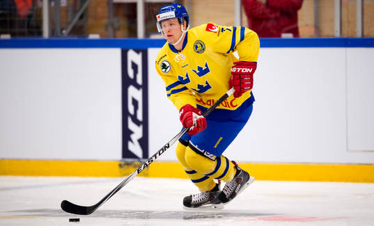 Sveriges Johan Motin