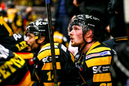 Skellefteås Martin Lundberg deppar