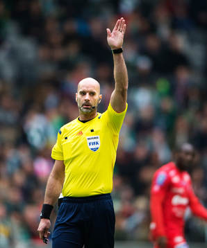 Domare Stefan Johannesson
